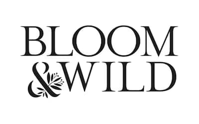 bloomandwild ecommerce seo