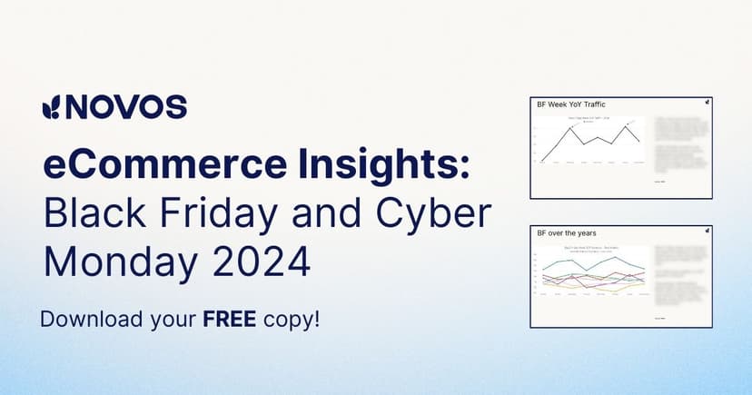 eCommerce Insights: Black Friday and Cyber Monday 2024