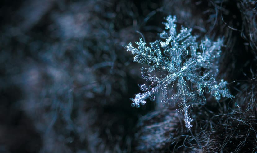 Close up of a snowflake