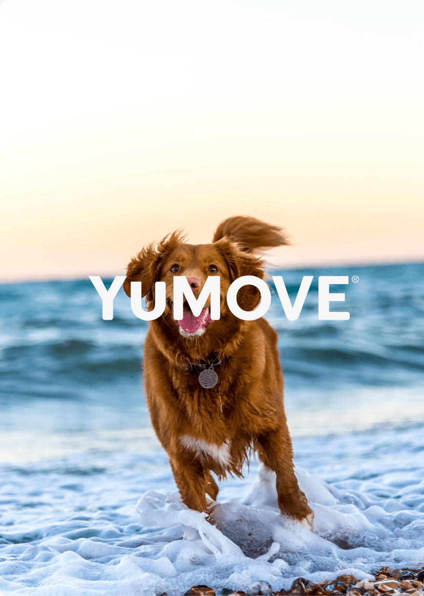 yumove